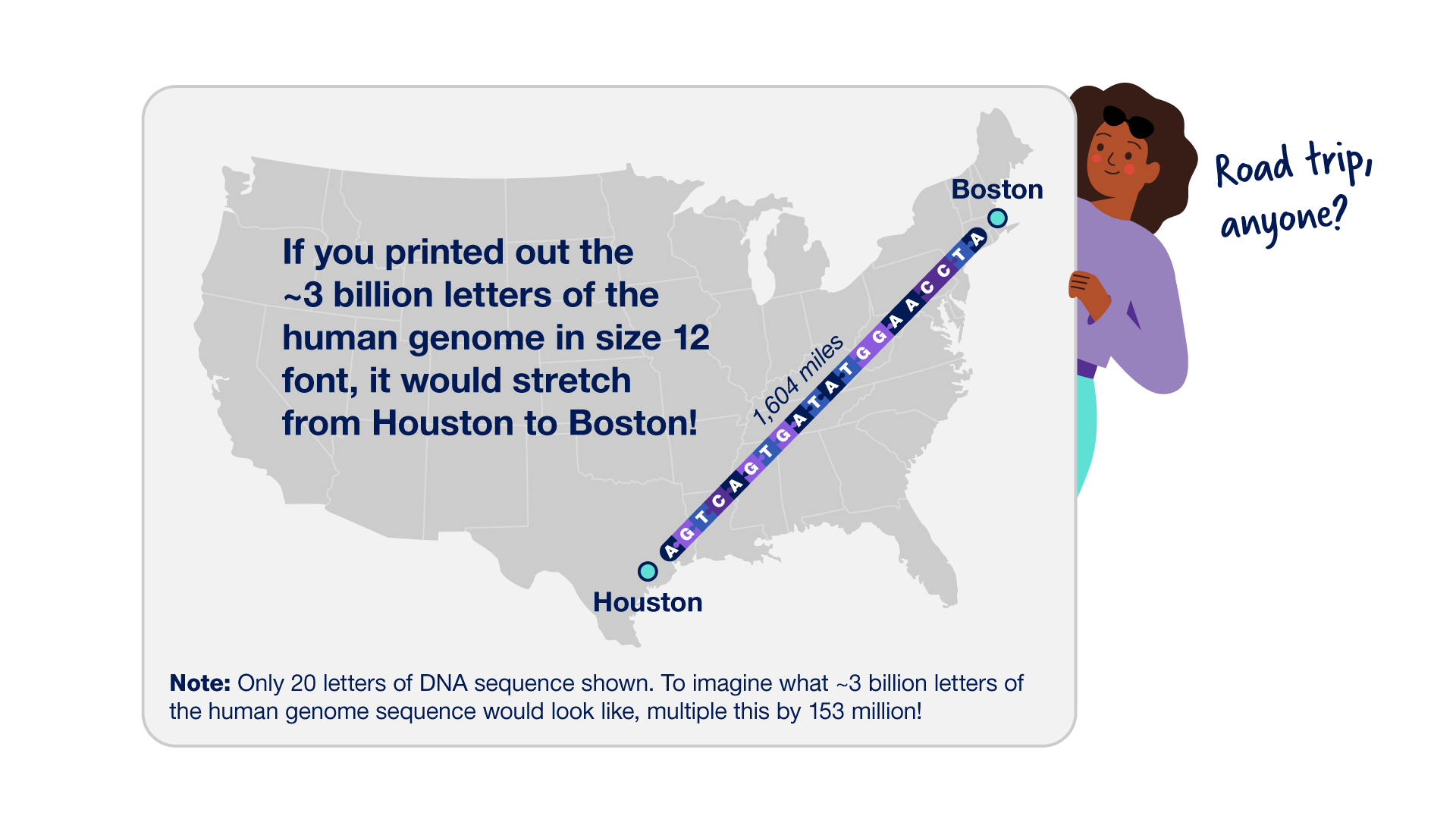 Telomere-to-telomere infographic - Reason 1