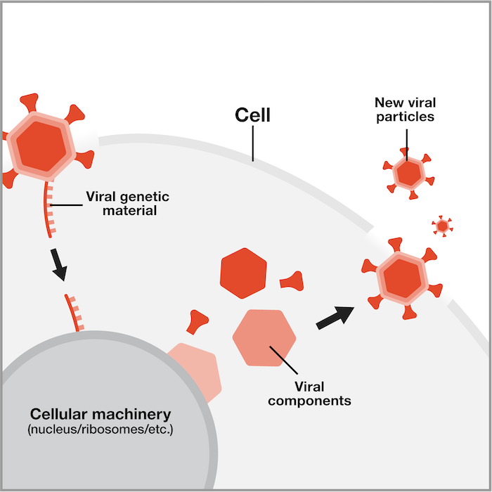 Virology