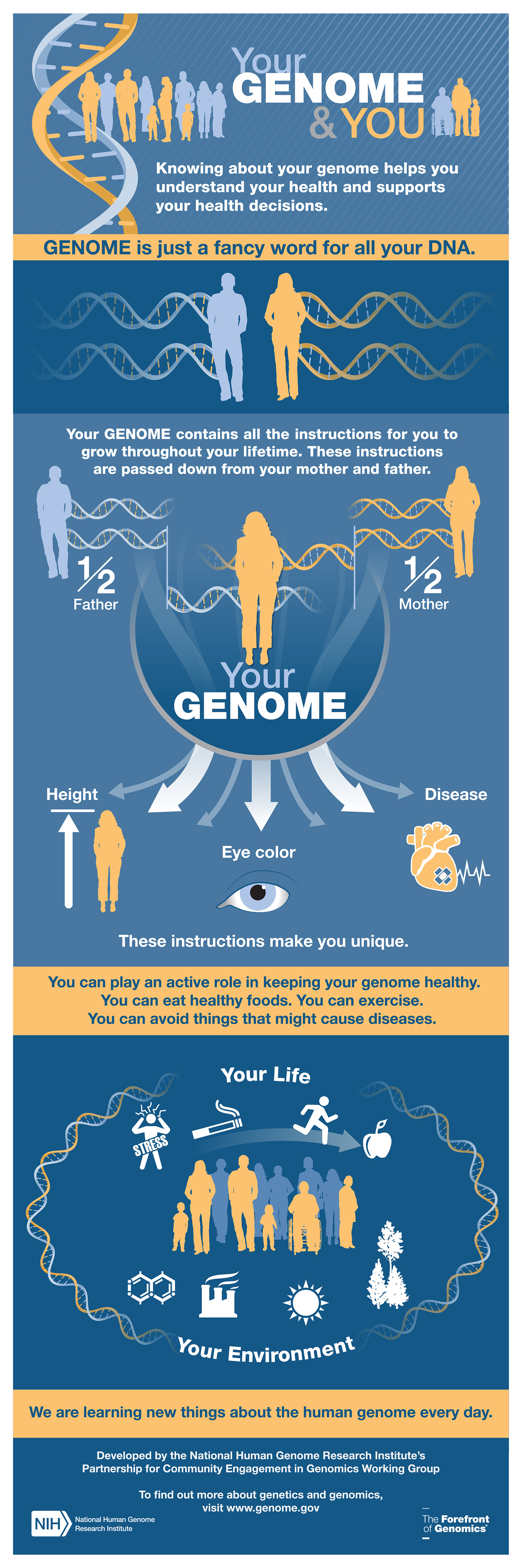 Your Genome You Infographic,Living Room Old House Interior Design Ideas