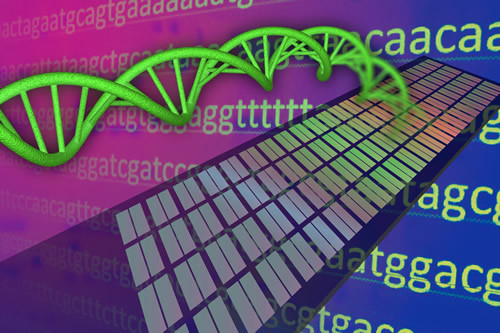 GWAS chip artwork