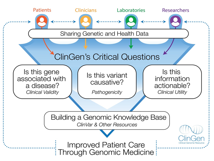 Glingen diagram