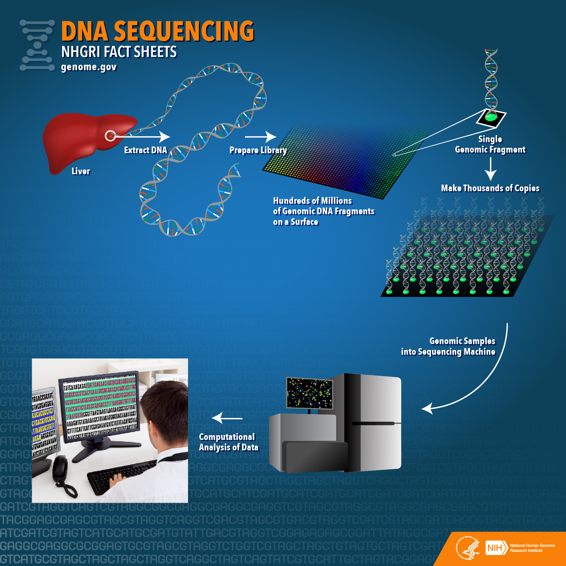 a journey through the history of dna sequencing