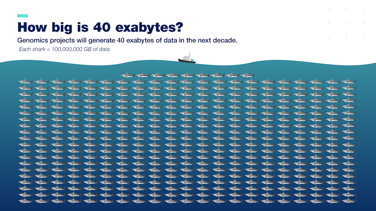 How big is 40 exabytes? Genomics projects will generate 40 exabytes of data in the next decade. Each shark equals 100 million gigabytes of data.