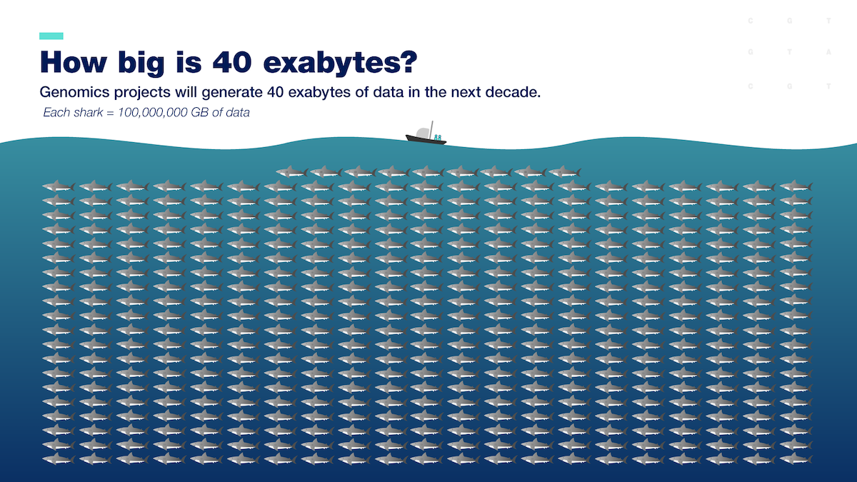 Maximizing Genomic Health: Advanced Data Analysis