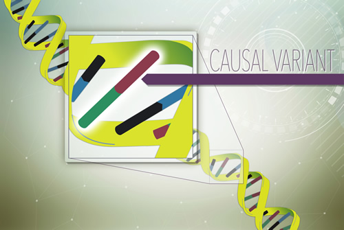 Artwork depicting causal variants