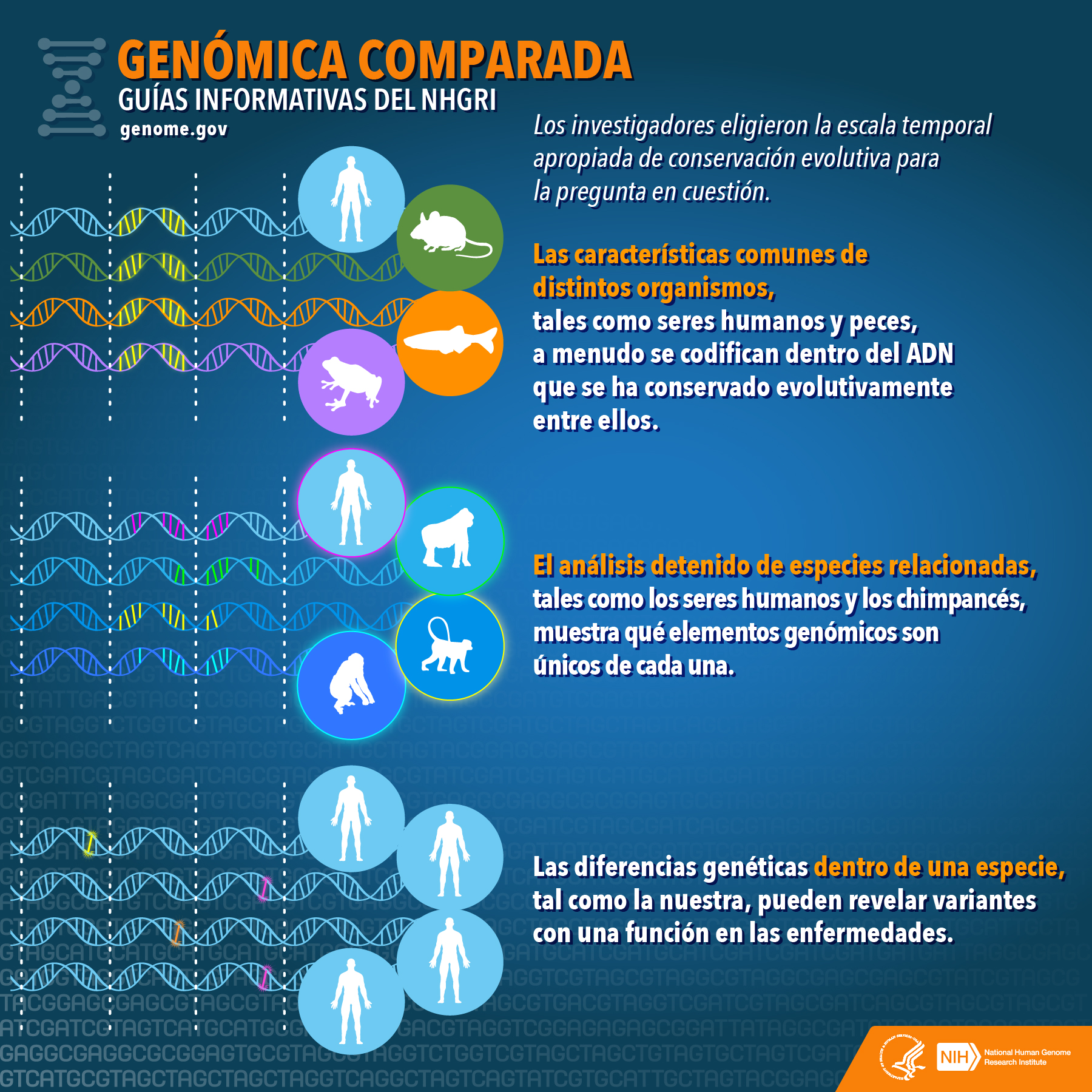 genomica comparada