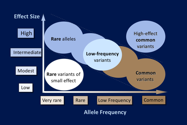 Heritability