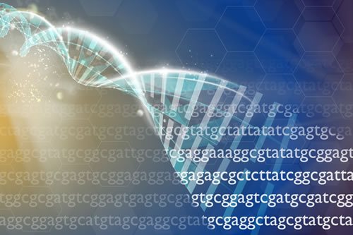 A double helix on a background of A T C G sequence