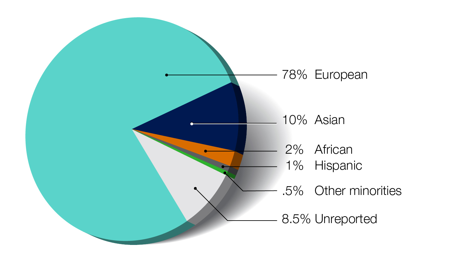 Pie chart showing 78% European, 10% Asian, 2% African, 1 % Hispanic, .5% Other minorities, 8.5% Unreported