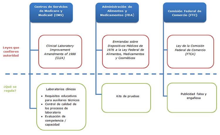 Prueba genetica