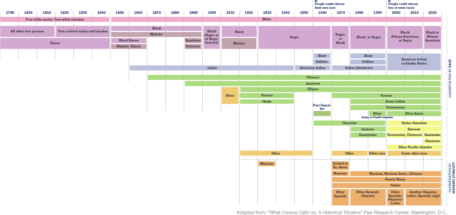 timeline graphic showing changing terms used for describing race