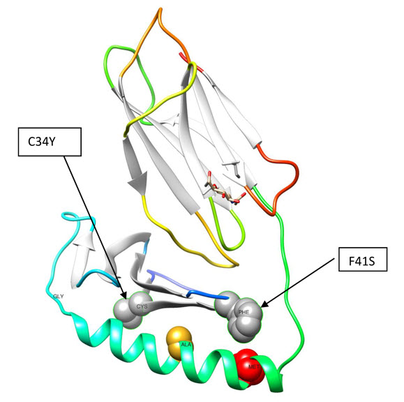 Molecular image