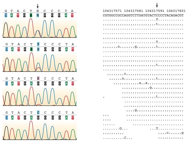 Sequencing data