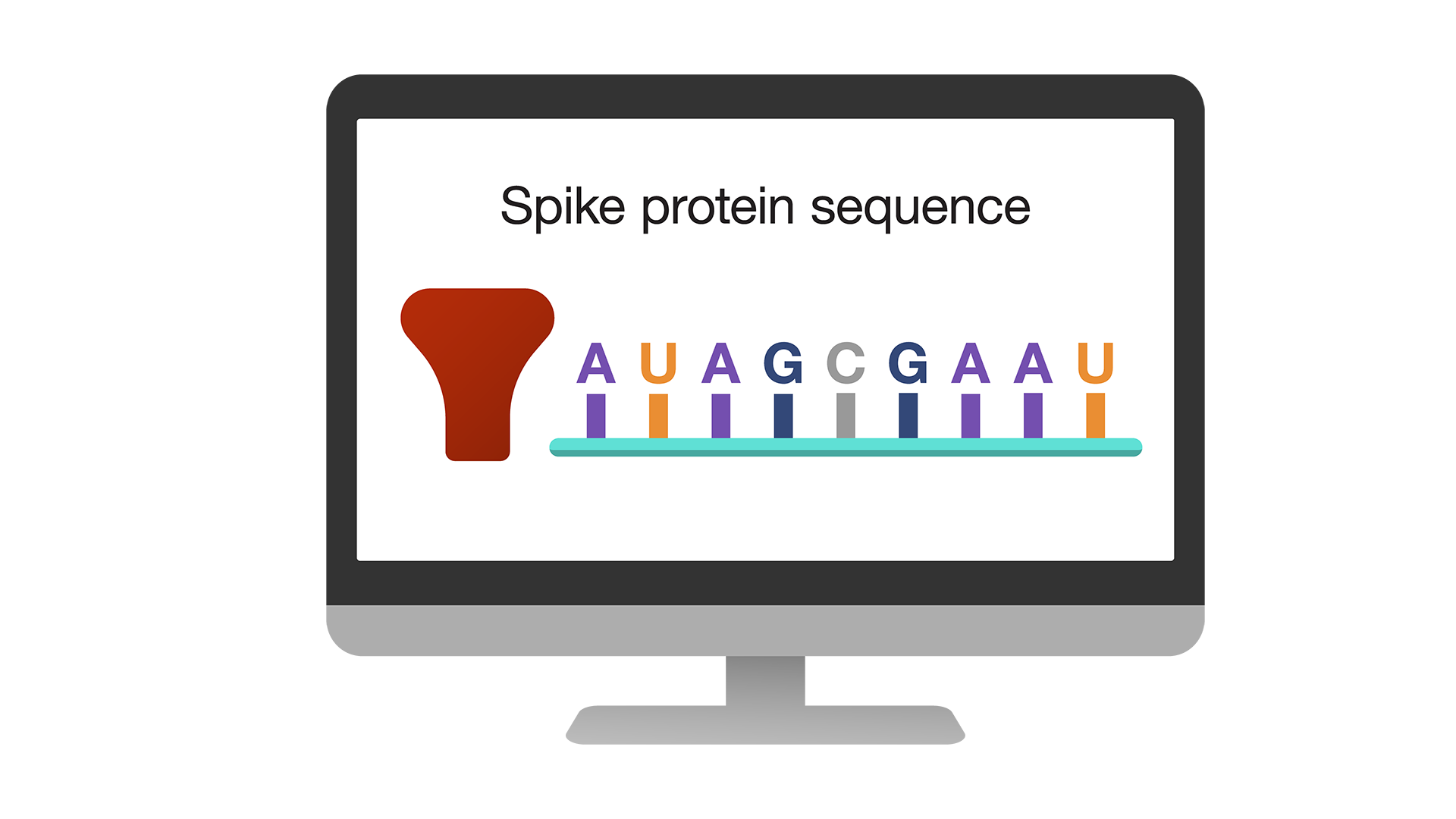 Spike protein sequence displayed on an iMac monitor