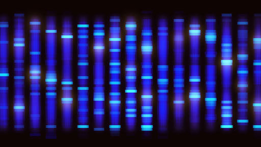 DNA sequencing information 