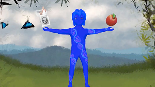 Screenshot of educational video