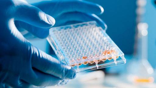 scientist holding tray