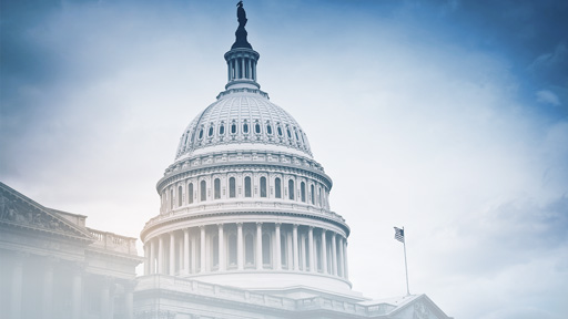 U.S. Capitol