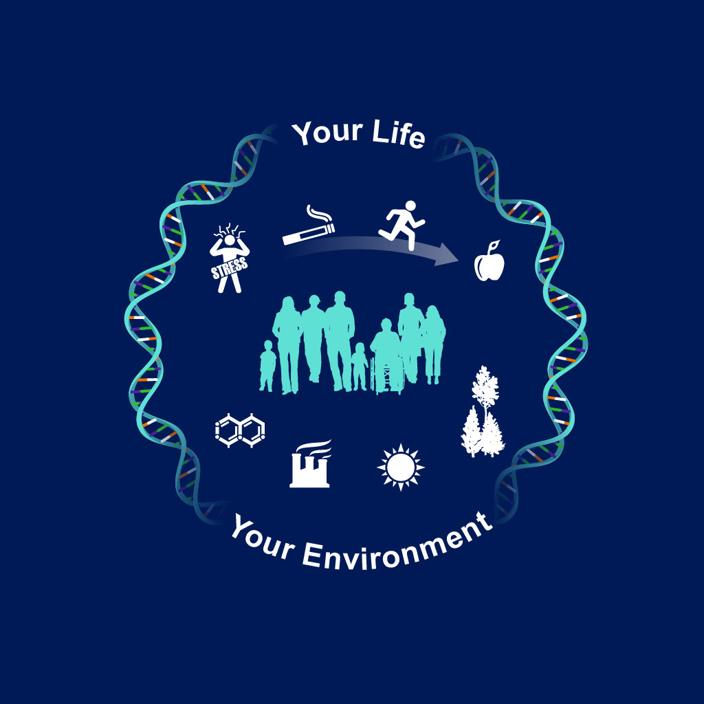 Your Life Your Environment