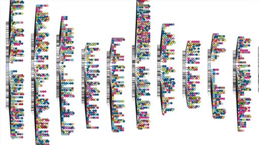 Genome wide association study