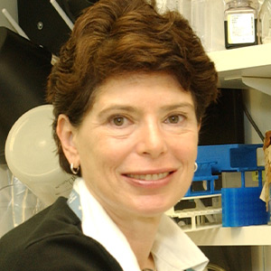 Roxanne N. Fischer