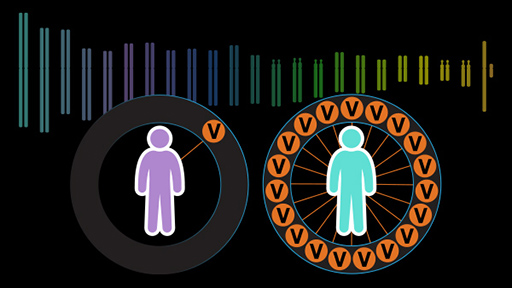 Polygenic Risk Scores