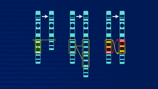 Chromosome Abnormalities