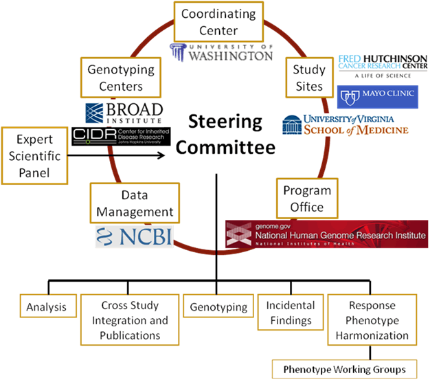 Diagram of the Full Steering Committee