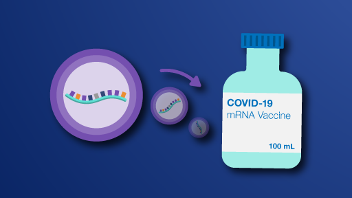 Vaccine production