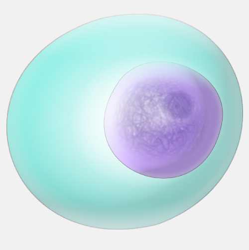 Generic Cell Nucleus