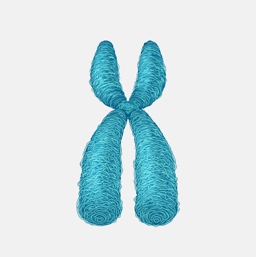Generic Chromosome DNA
