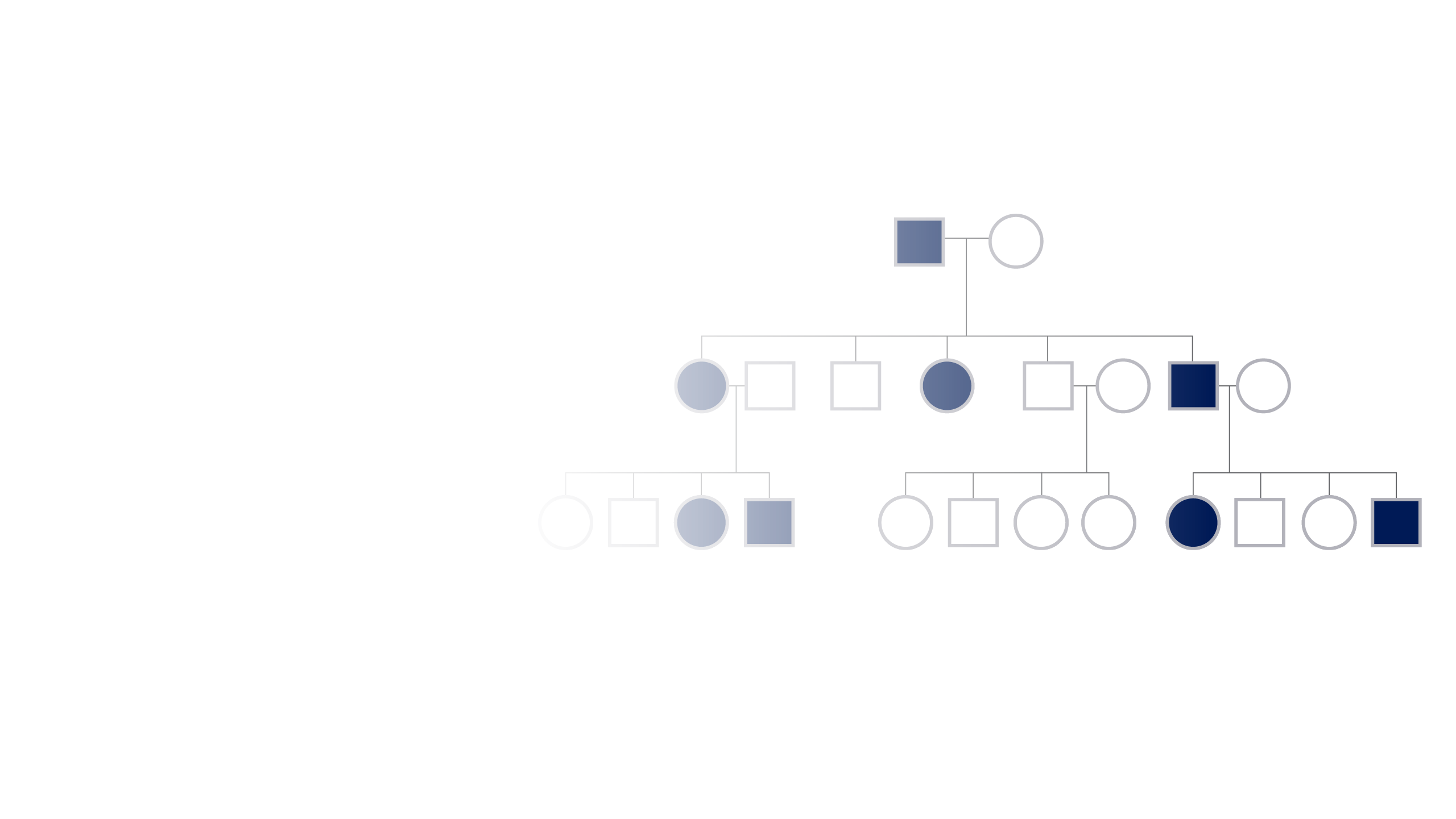 Dominant Traits And Alleles
