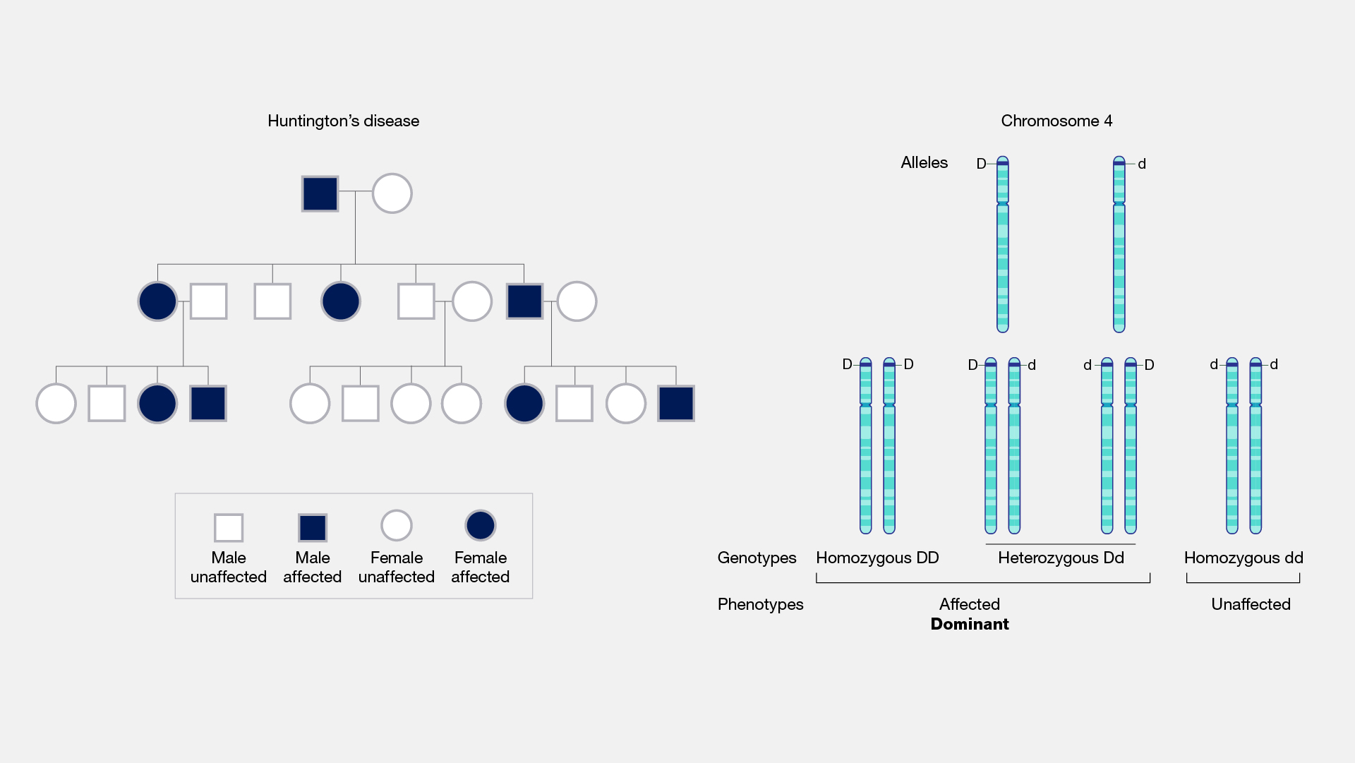 recessive definition