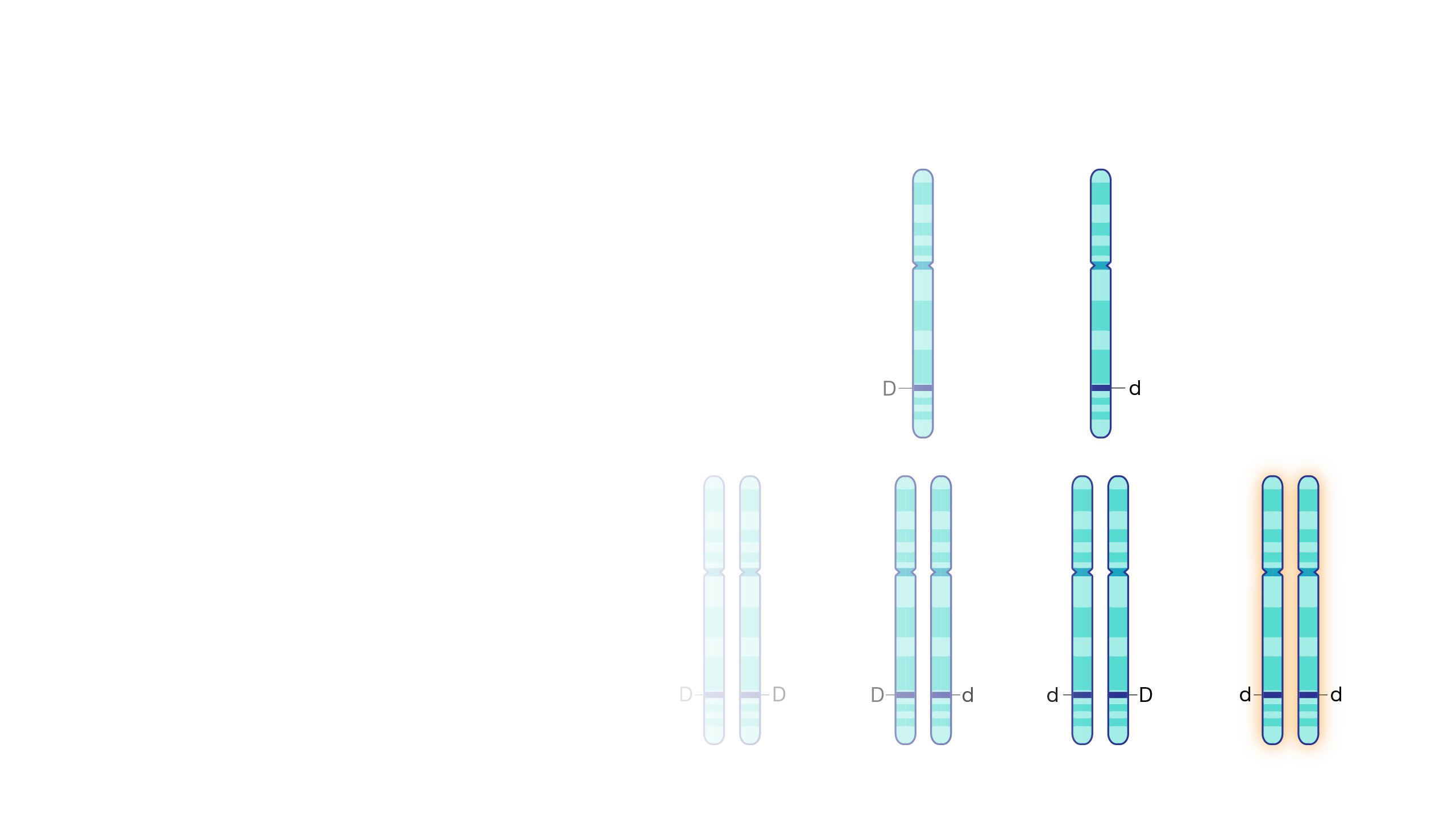 Cystic Fibrosis