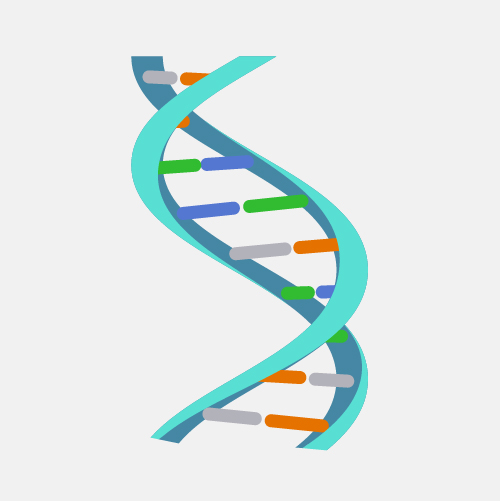 Generic DNA bases