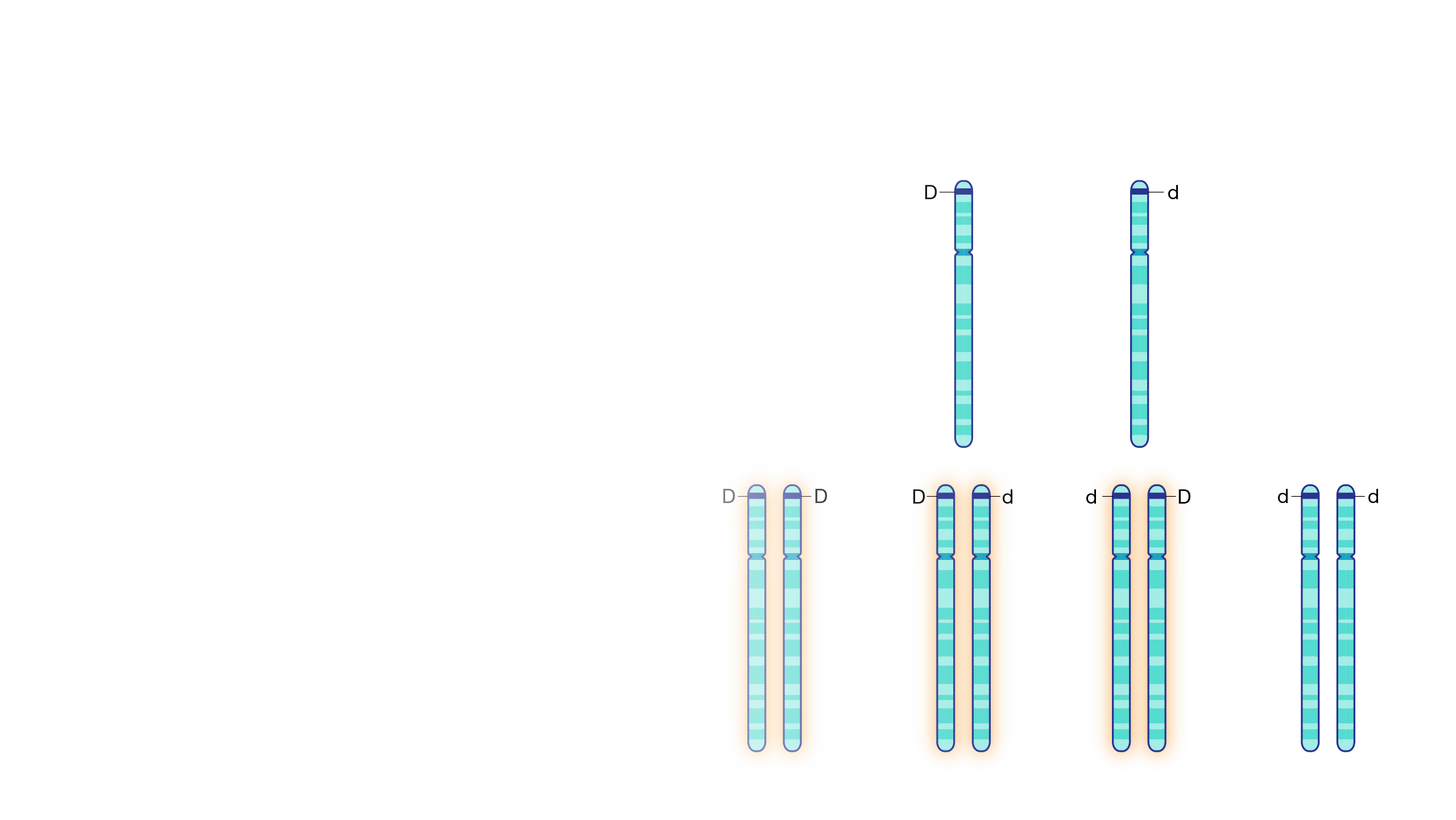 Huntington's Disease