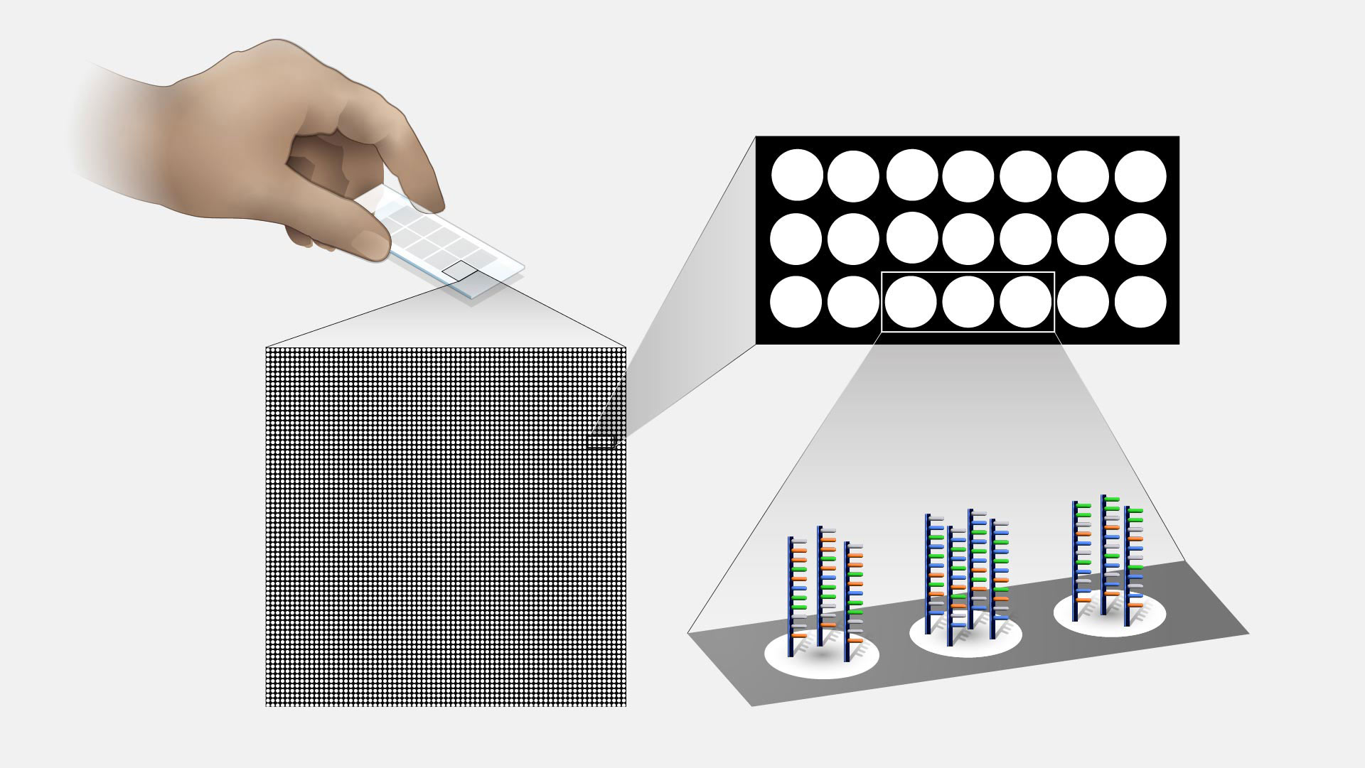  Microarray Technology
