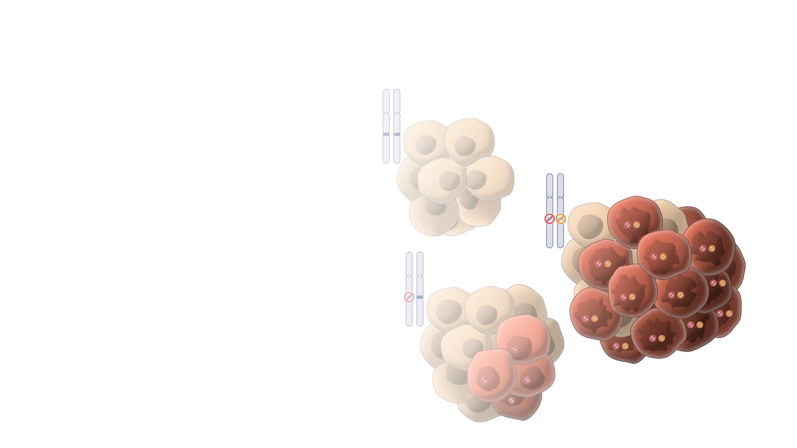 Tumor Suppressor Gene