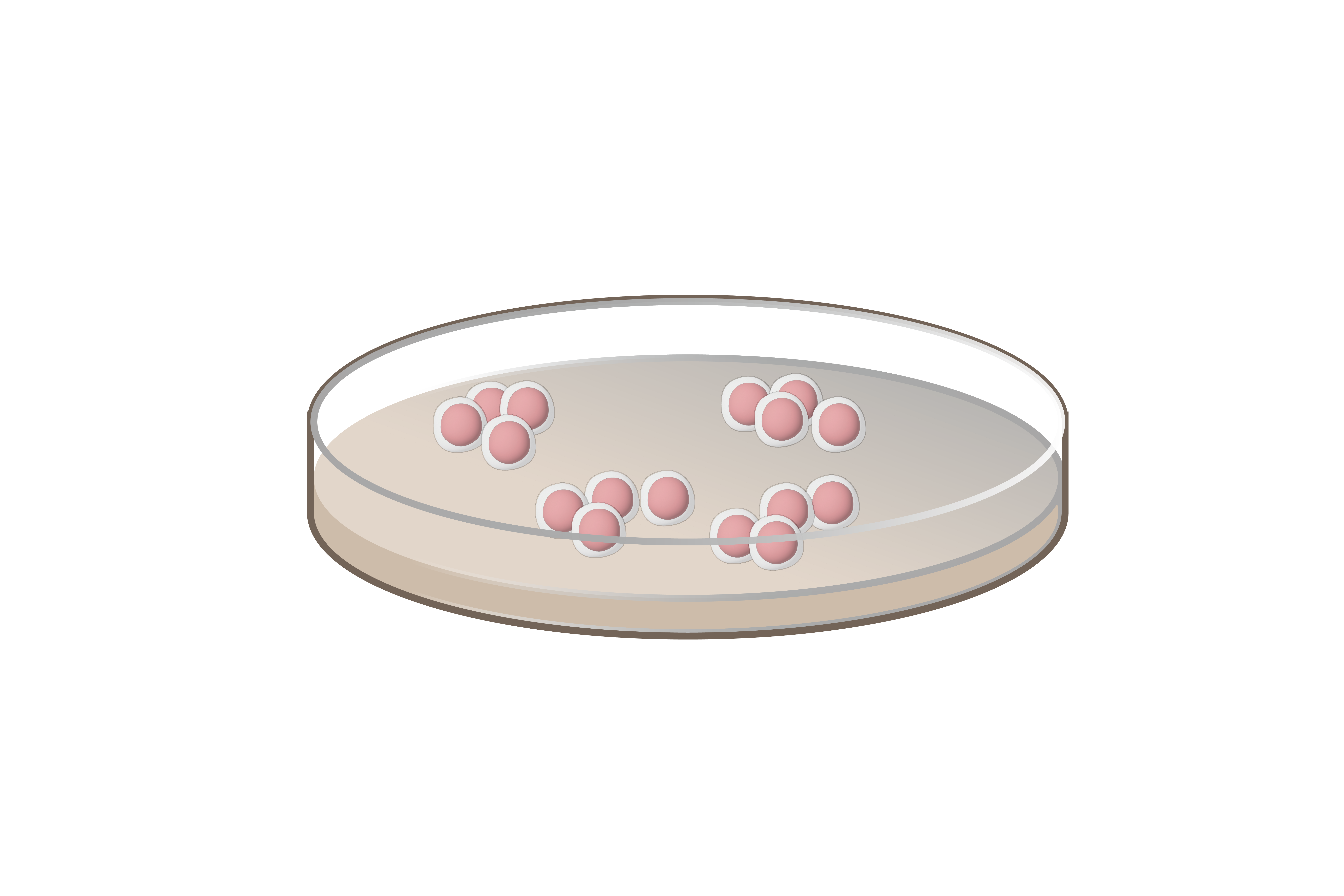 Cells in a Petri dish