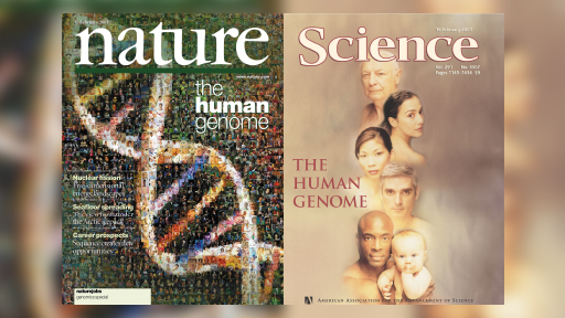 Science and Nature Covers