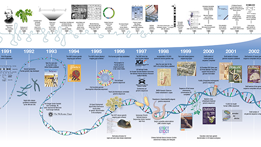 HGP Timeline