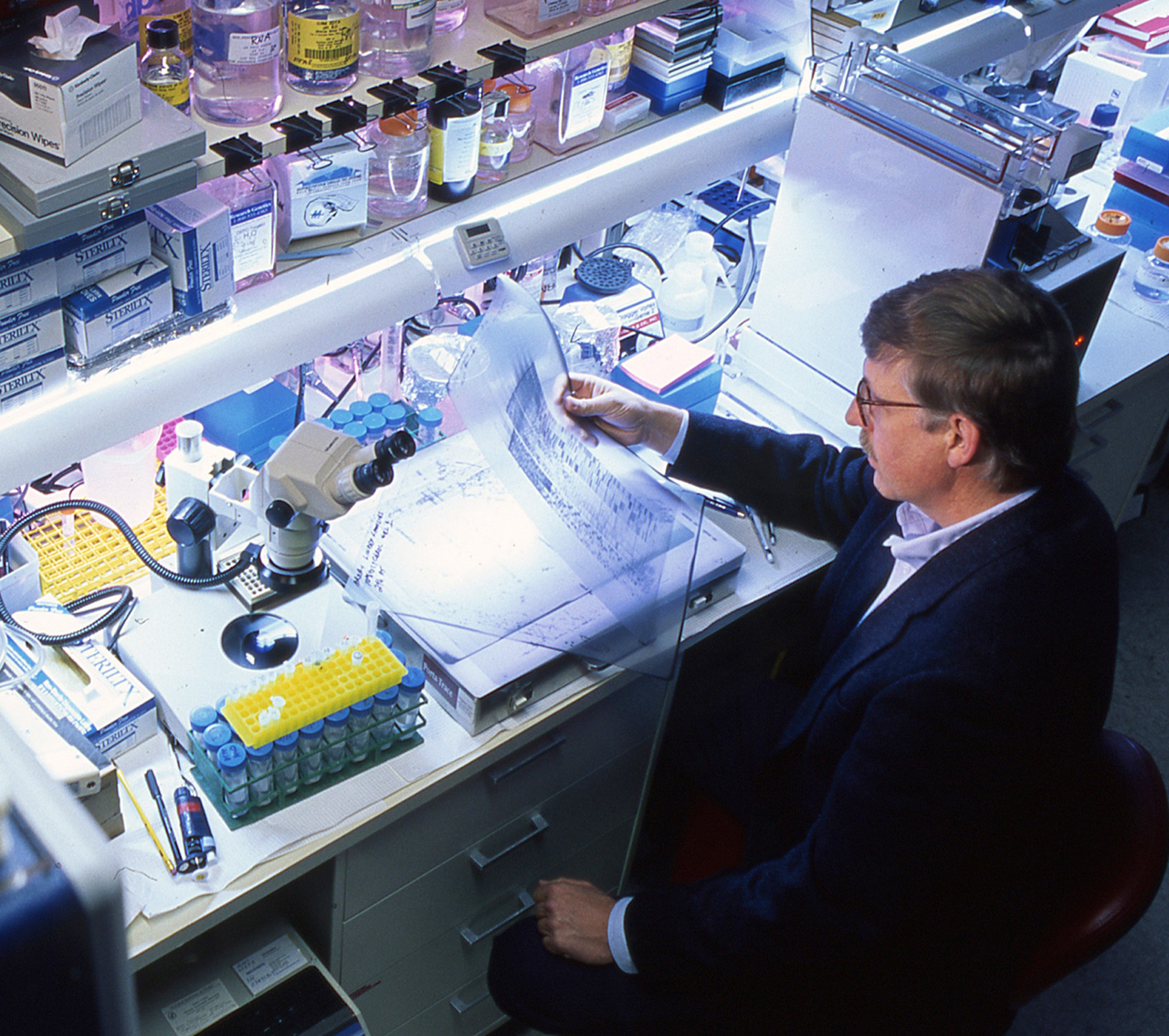 Francis Collins analyzing an autoradiogram