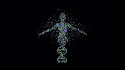 Molecular Phenotypes of Null Alleles in Cells (MorPhiC)