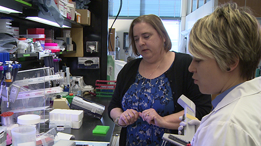 Elaine Ostrander in her lab