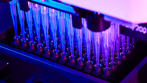 NISC Labs