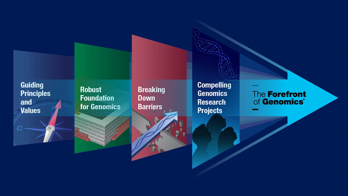 Strategic Vision figure showing four themes