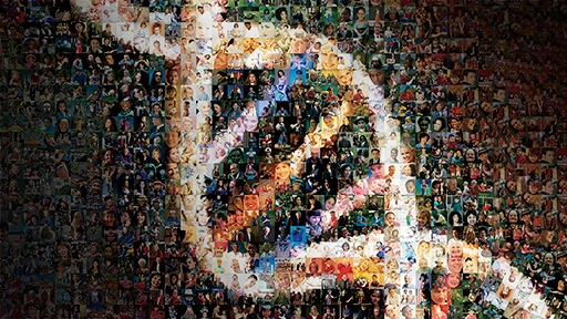 HGP mosaic