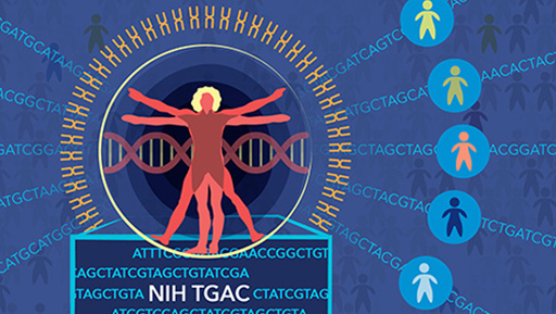 Health people with visible genomes and base pairs