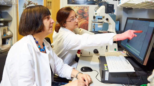 NHGRI investigators working in the lab