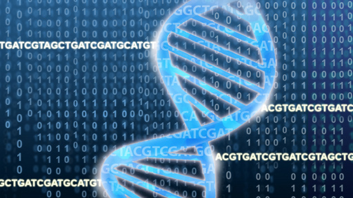 Double helix with DNA sequence